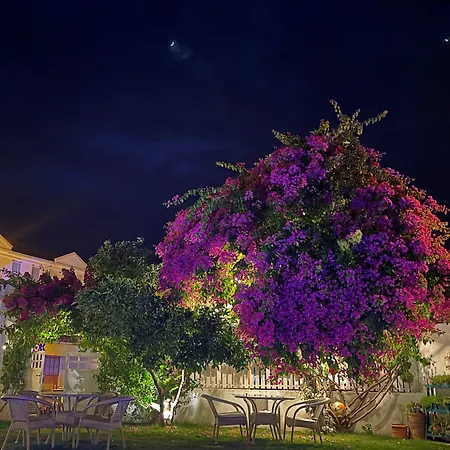 Grandma's Garden 아파트호텔