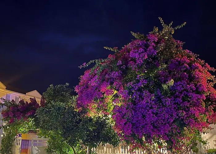 Grandma's Garden Ξενοδοχείο με διαμερίσματα