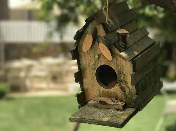 Grandma's Garden