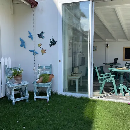 Grandma's Garden 3*
