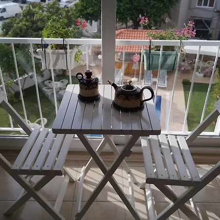 Grandma's Garden 3*
