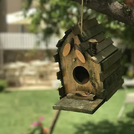 Grandma's Garden