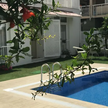 Grandma's Garden